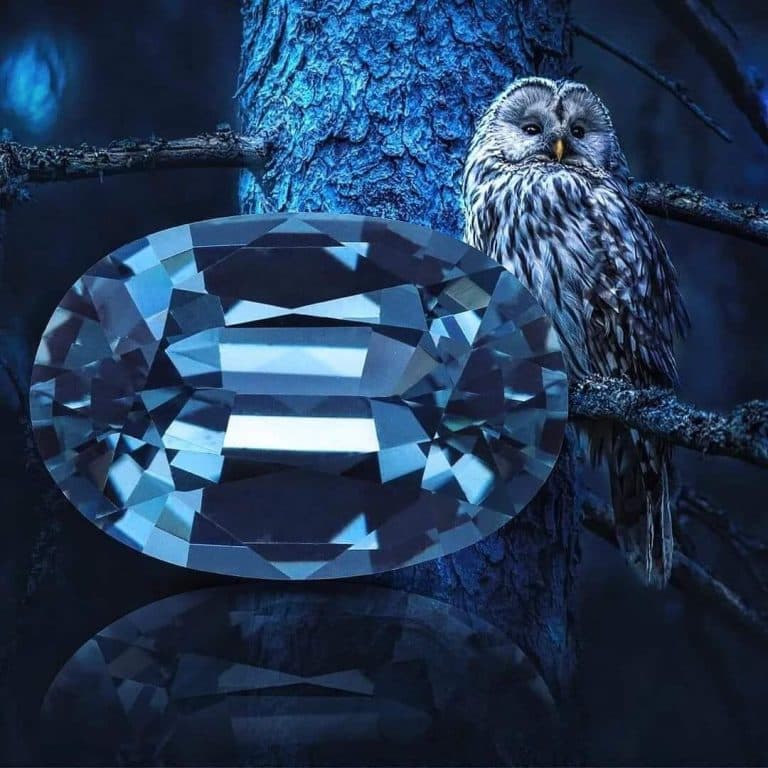 GEM HILL PREMIUM E-COMMERCE PLATFORM